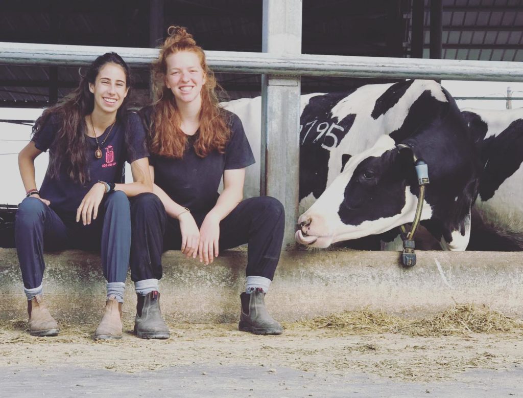 Nahalal Dairy Farm