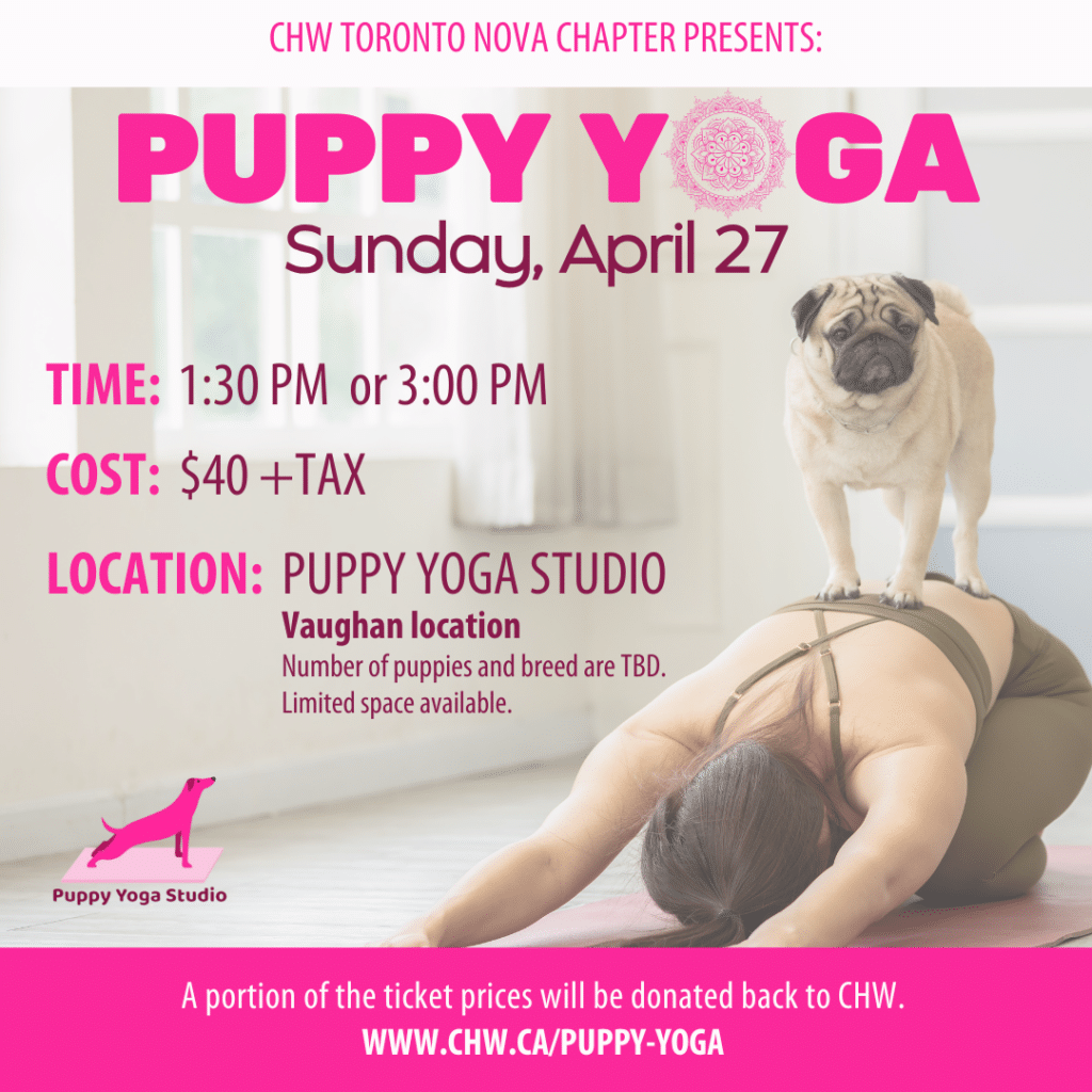 Puppy Yoga Square Updated