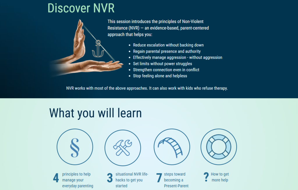 NVR graphics
